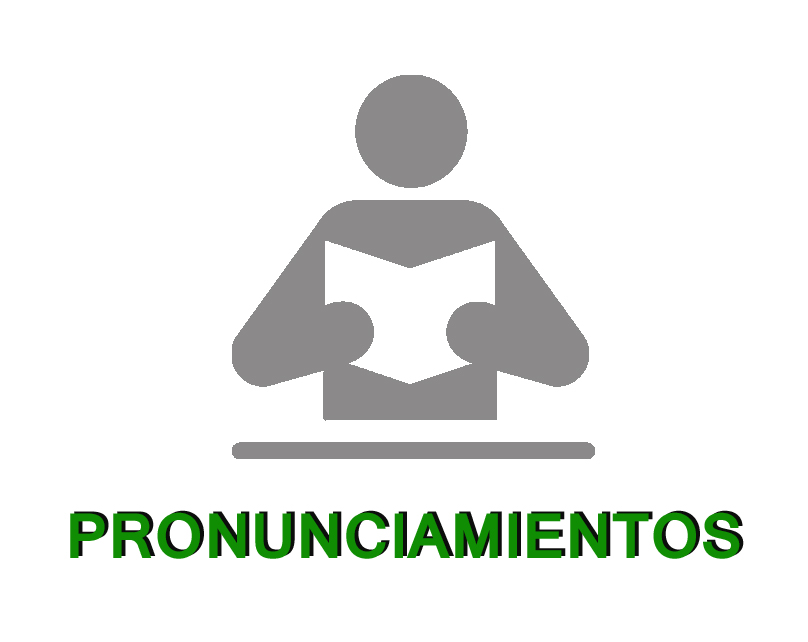 Pronunciamiento Preocupacion Prohibicion Actividades Extractivas CCE