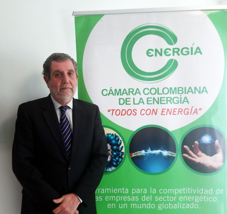 Carlos Alberto Zarruk Gómez nuevo presidente ejecutivo de la Cámara Colombiana de la Energía