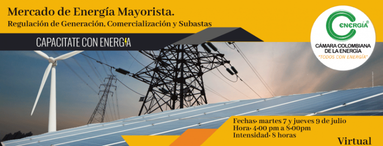 Mercado de Energía Mayorista. Regulación de Generación, Comercialización y Subastas