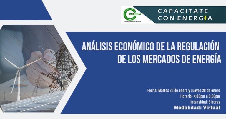 Análisis económico de la regulación de los mercados de energía