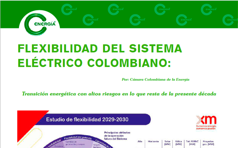 Flexibilidad del sistema eléctrico colombiano