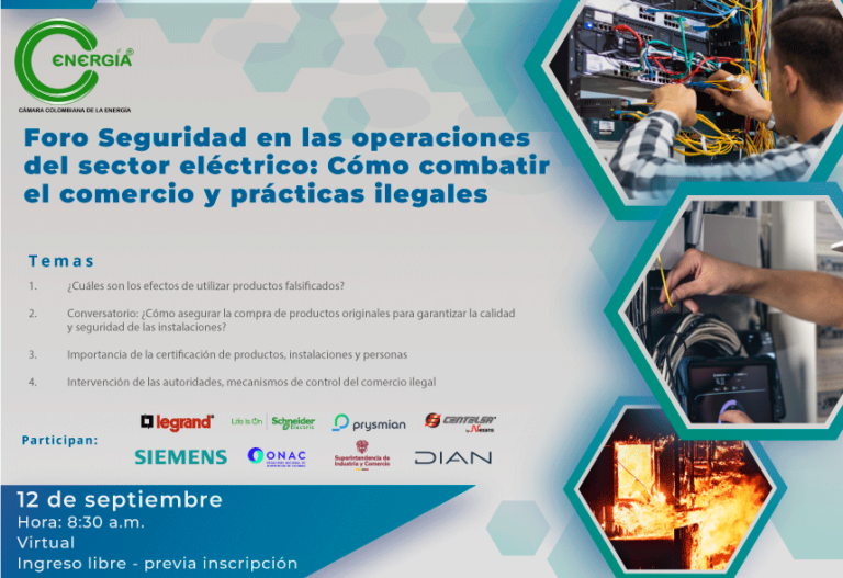 Foro: Seguridad en las operaciones del sector eléctrico: Cómo combatir el comercio y prácticas ilegales